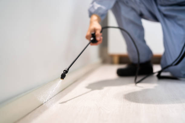 Professional exterminator conducting IPM assessment in Berwick